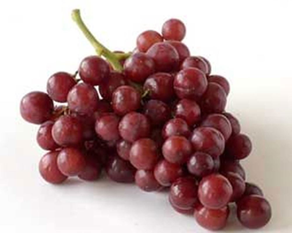 Grape: Ralli