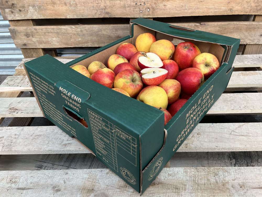 Organic Apple Cox Royale