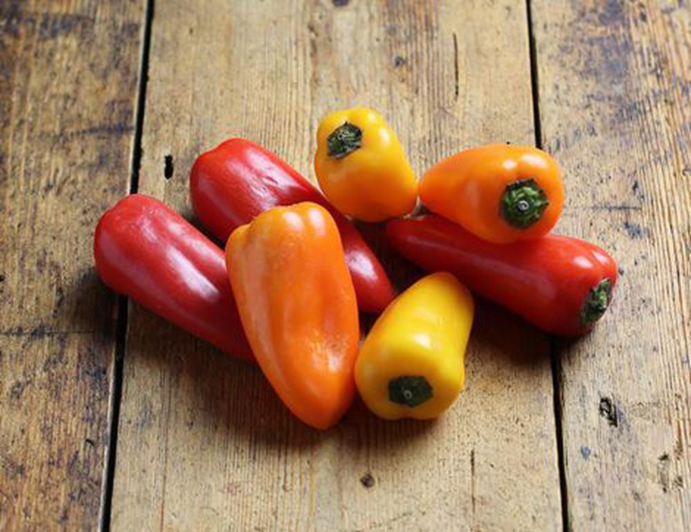 Sweet Bite Peppers (4)