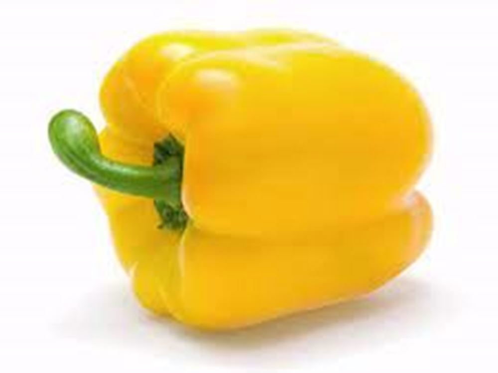Pepper Bell Yellow