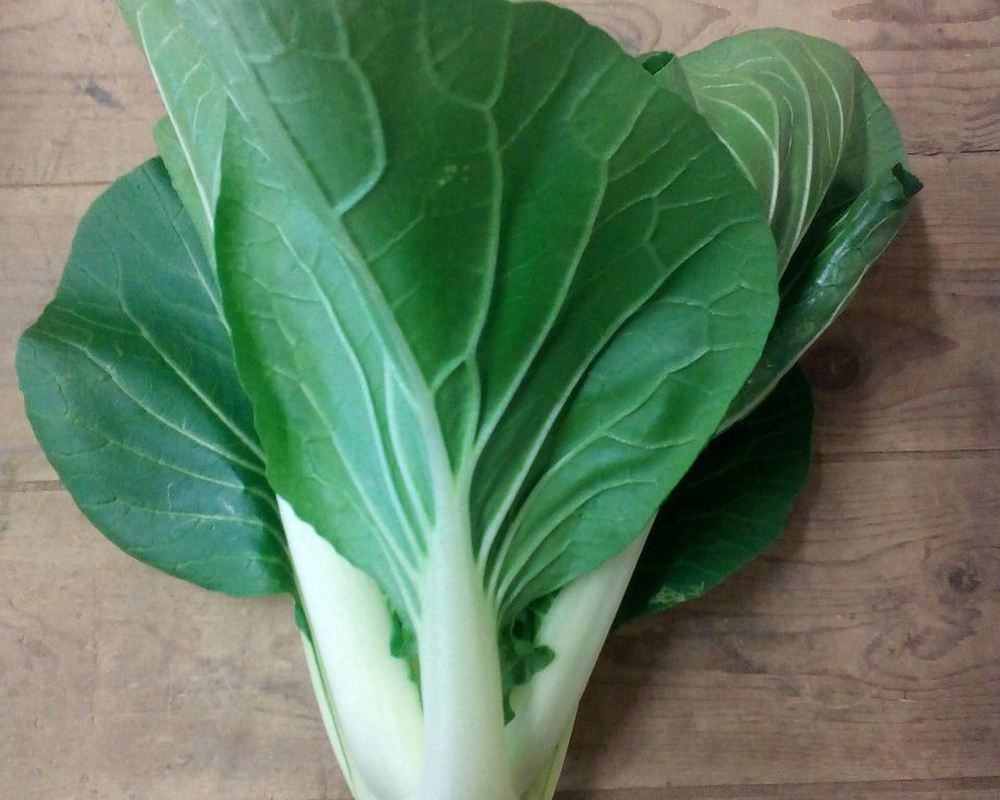 Pak Choi