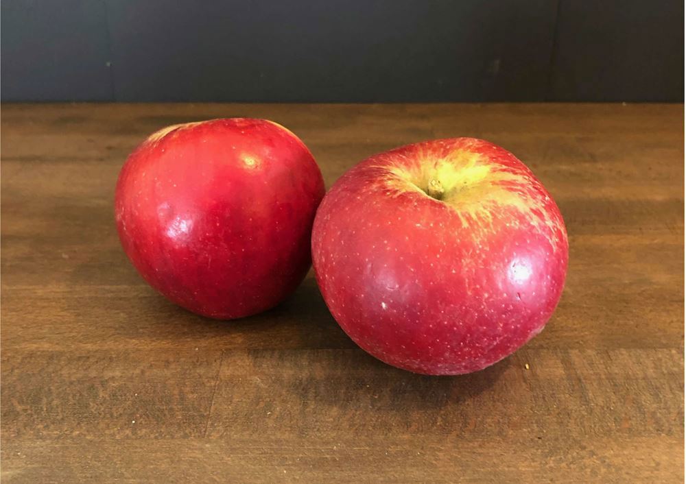 Apple Red Pippin