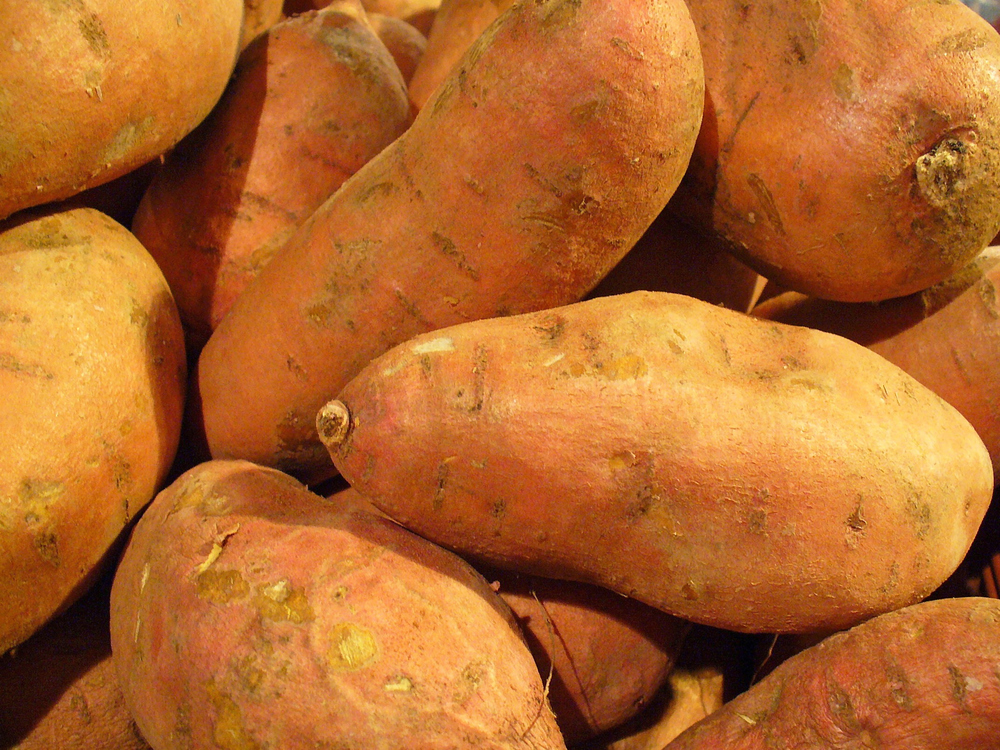 Organic Sweet Potatoes