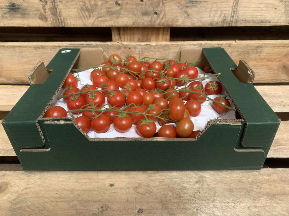 Tomatoes - Organic Cherry - vine