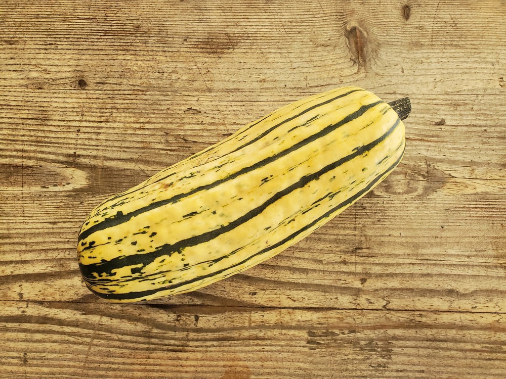 Squash - delicata (400-600g)