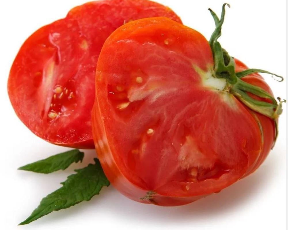 Tomatoes Vine - Oxheart