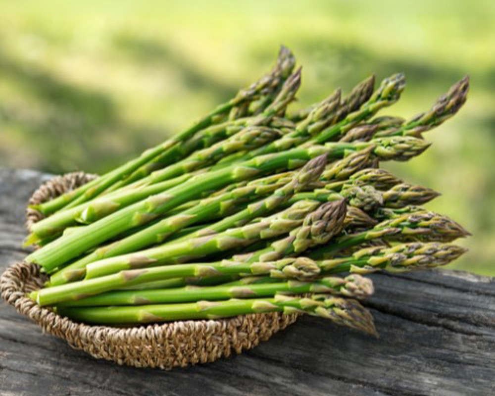 Asparagus