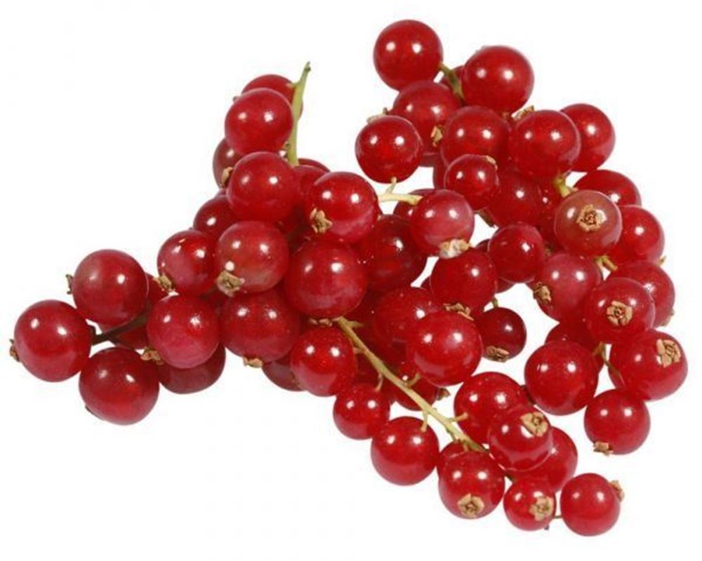 Redcurrants