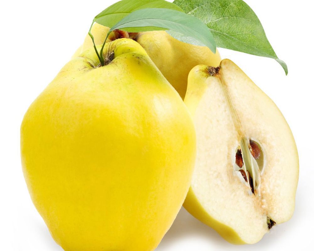 Quince