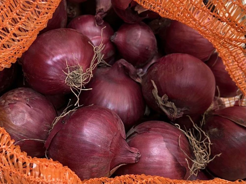 Onions - Red (France)
