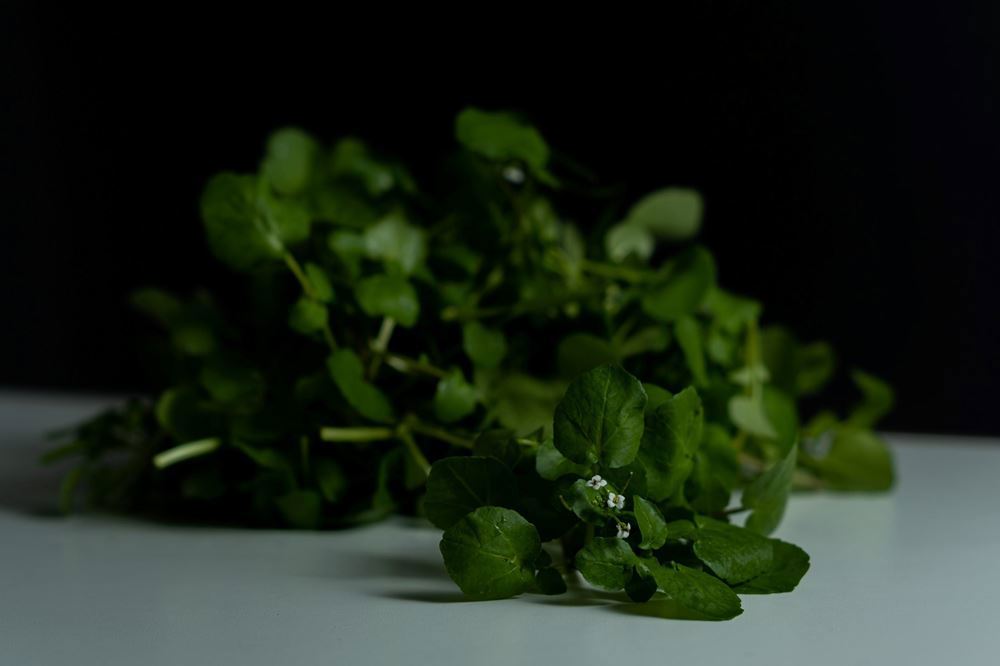 Watercress