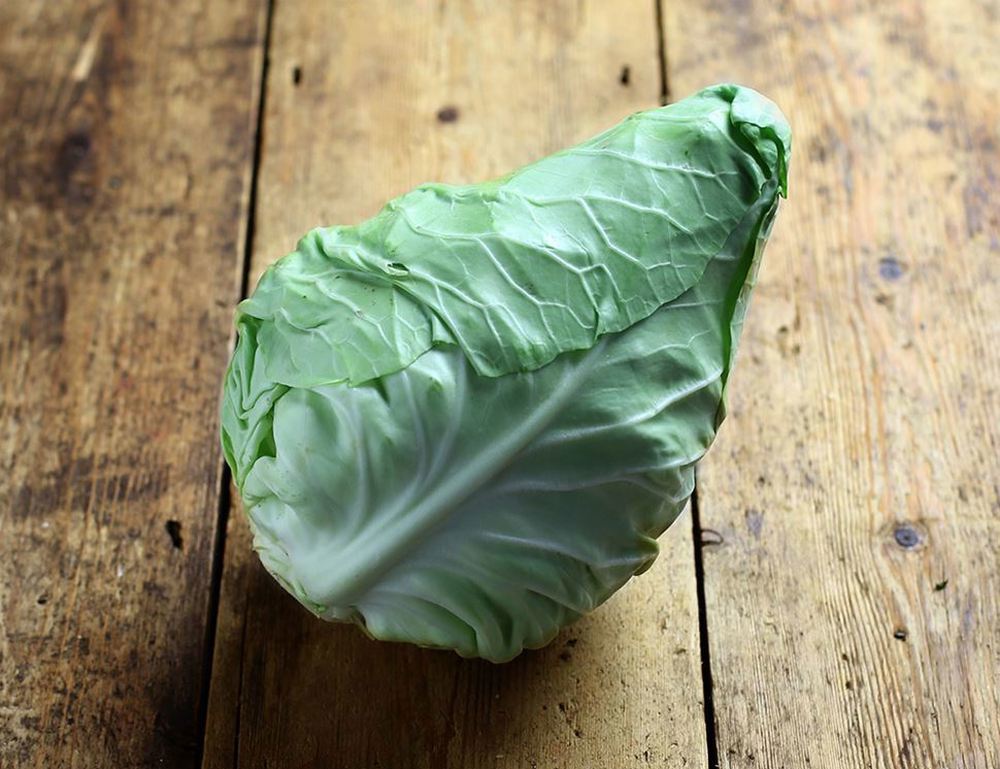 Cabbage: Pointed