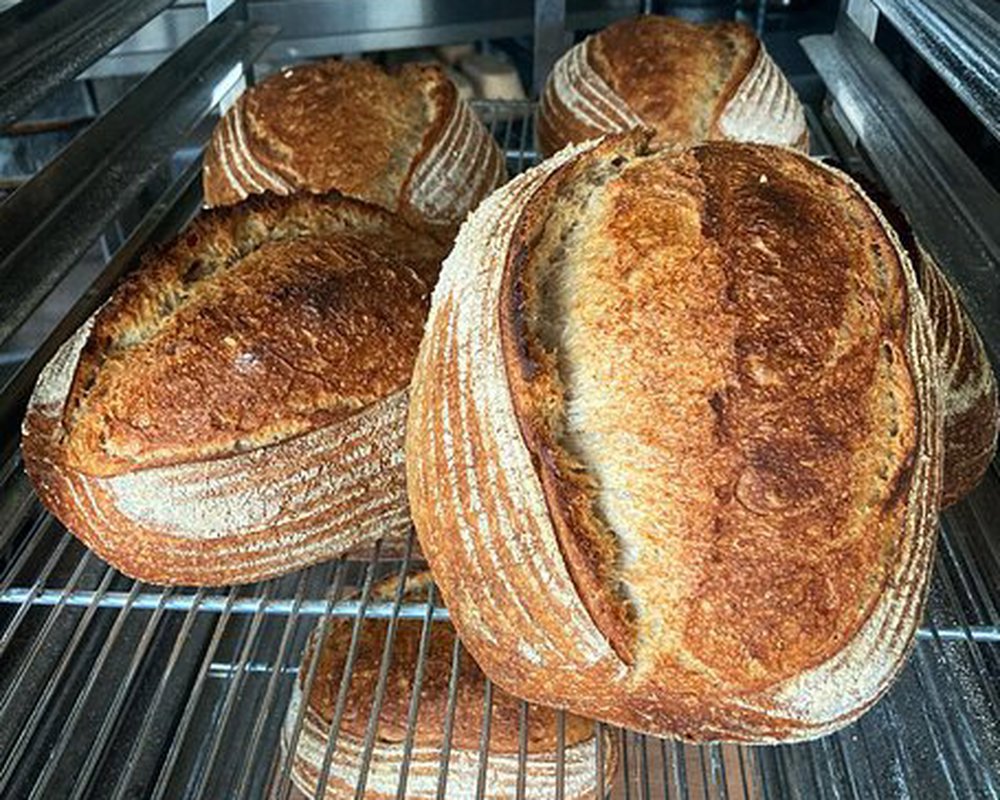 Bread - Organic House Sourdough - 800g