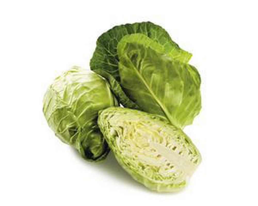 Cabbage: Sugar Loaf (small)