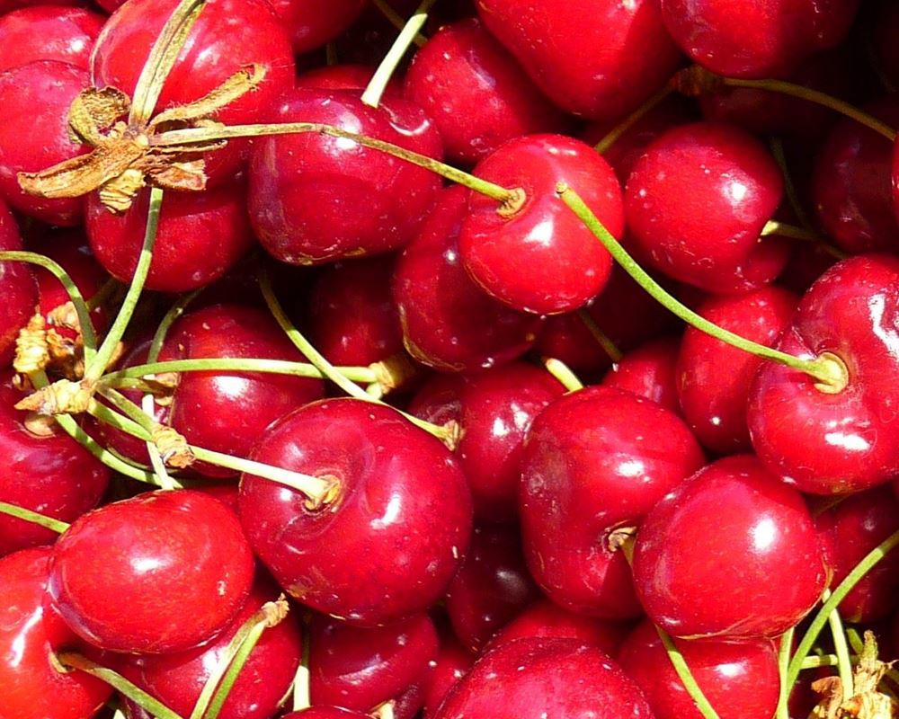 Cherries - approx 200g - Organic