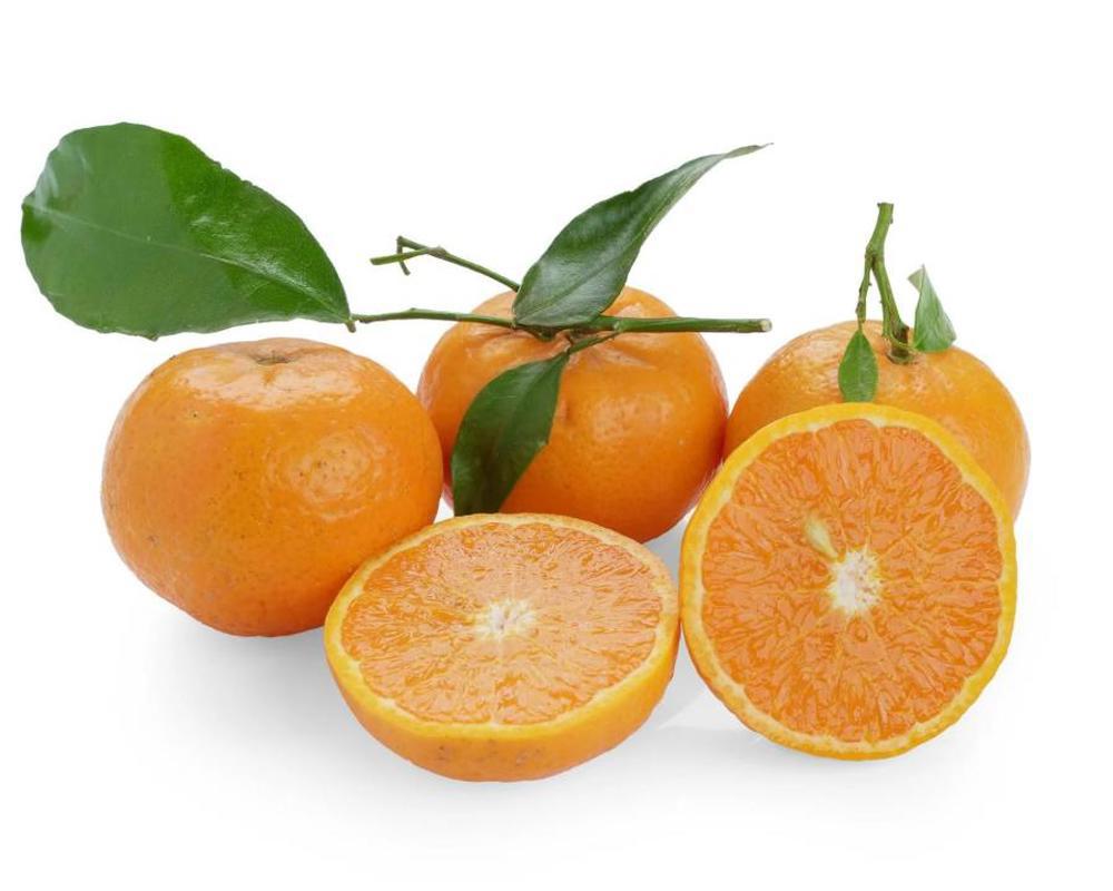 Clementines With Leaves