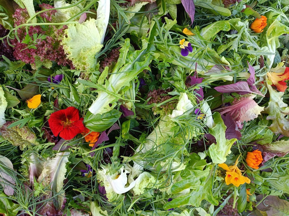 Mixed salad 100g