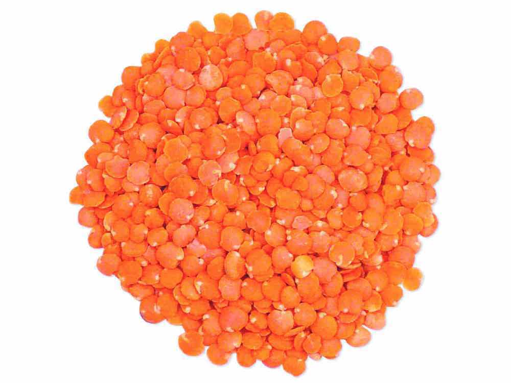 Corbys coch/Red Lentils 100g (Organically grown)