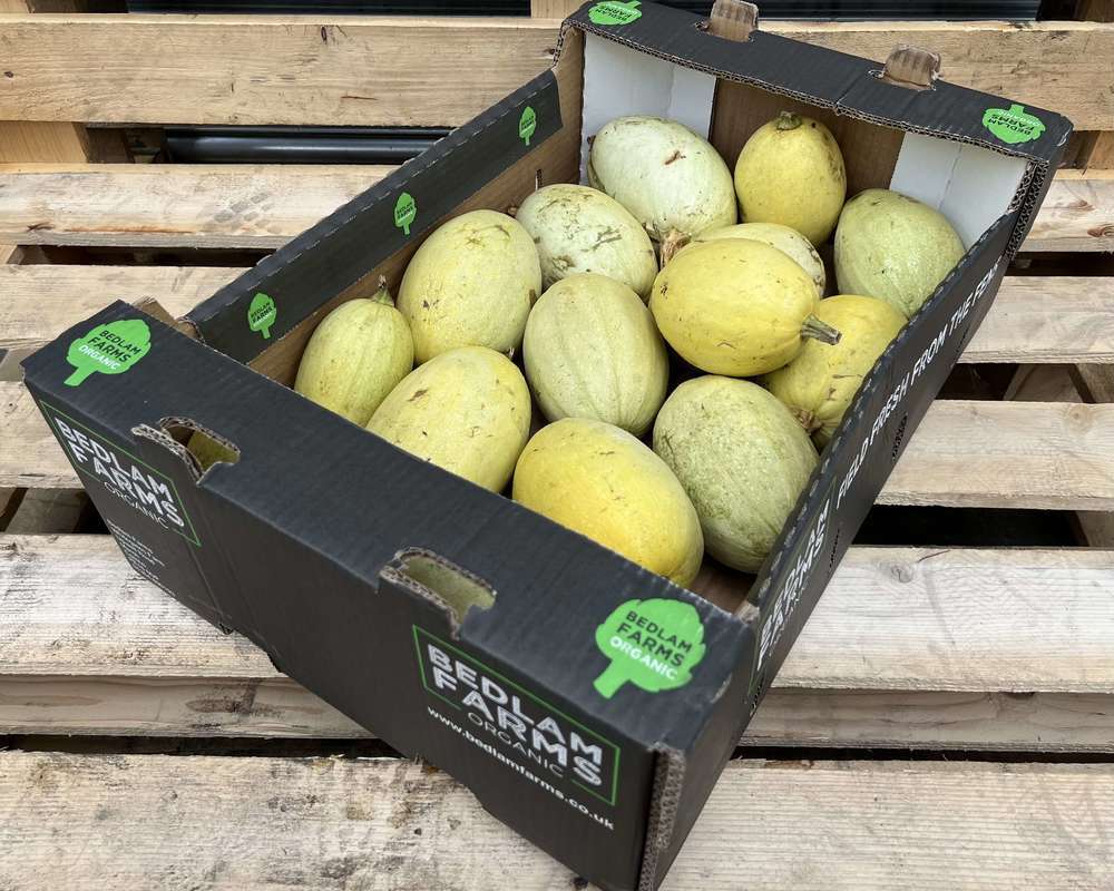 Organic Squash Spaghetti