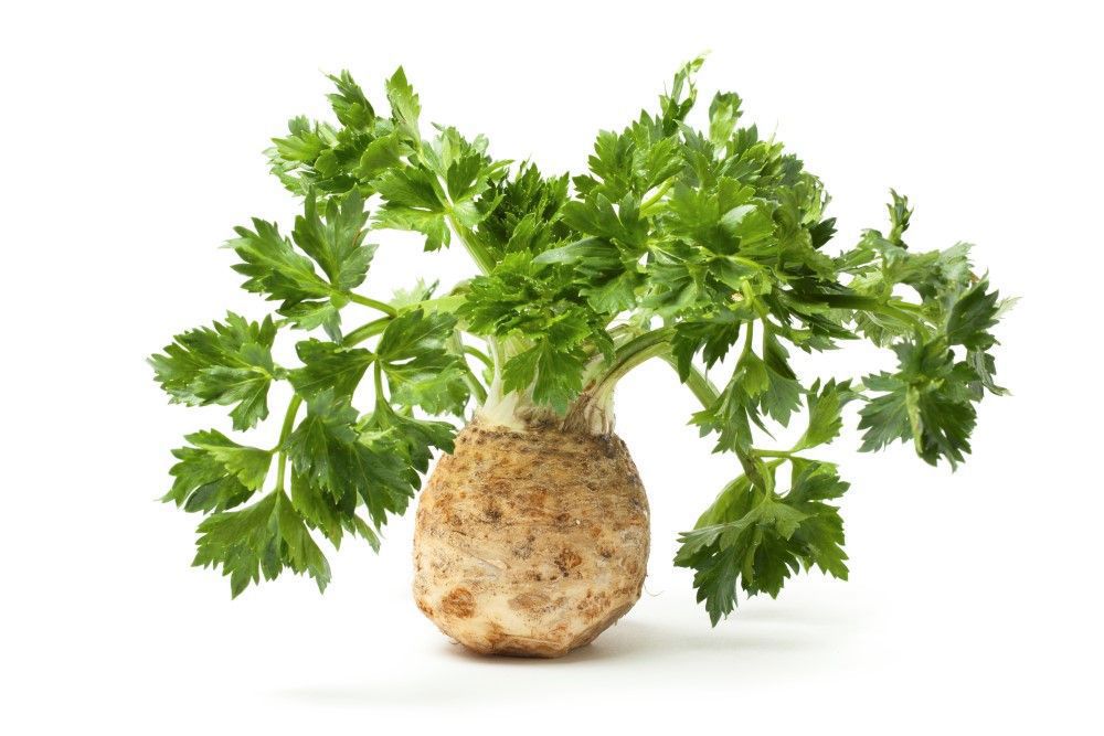 Celeriac