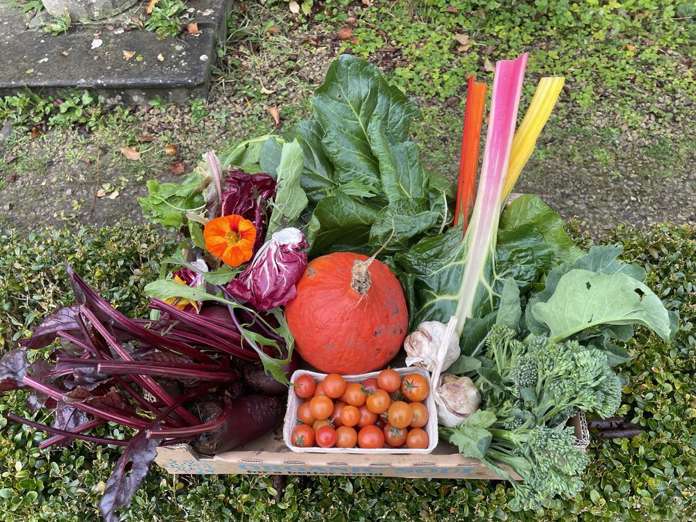 Large Veg Box