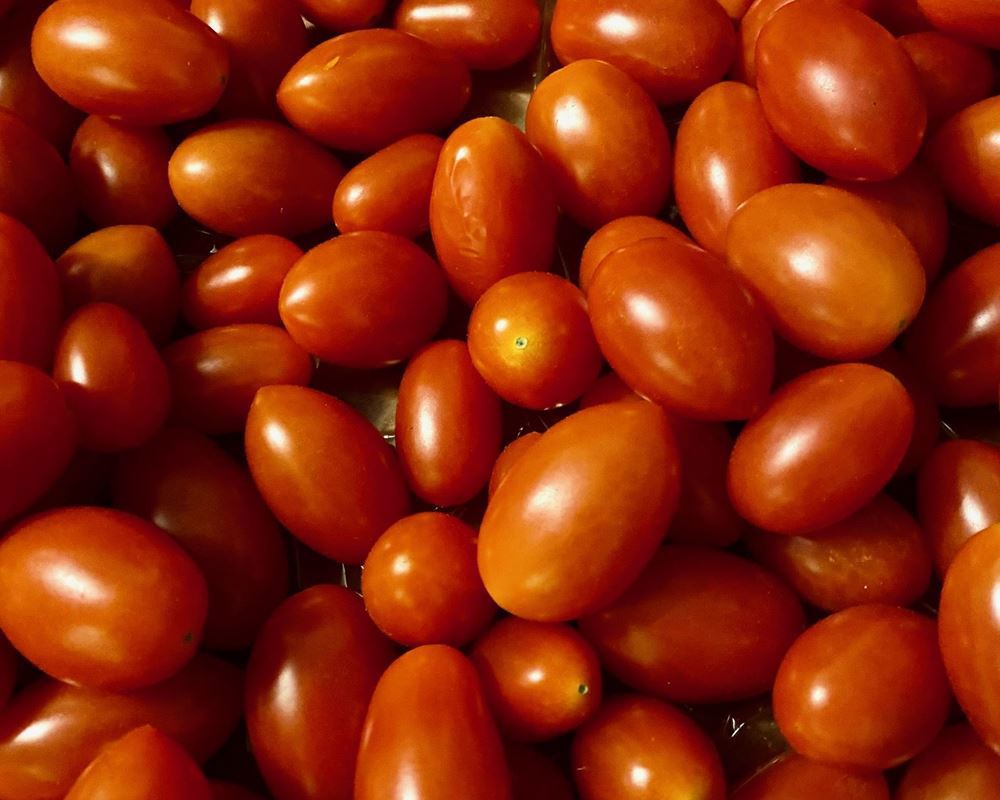 Tomato: Cherry Plum