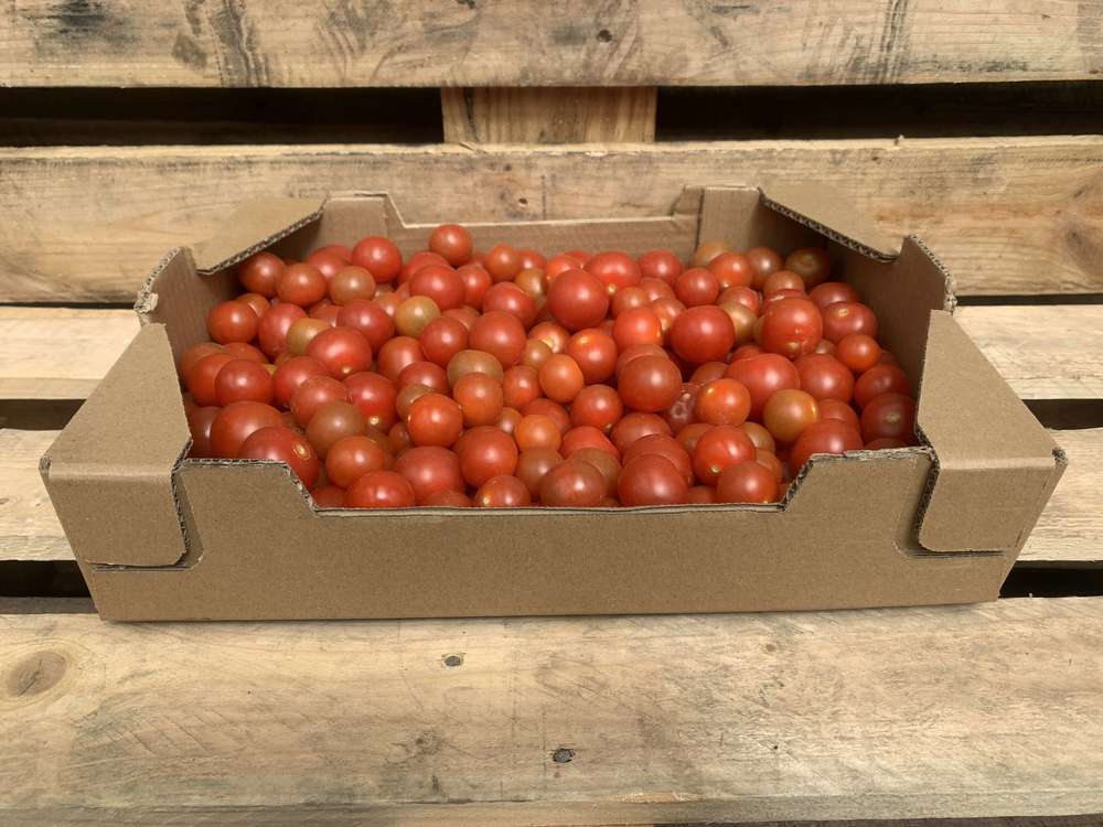 Organic Tomato Cherry Loose