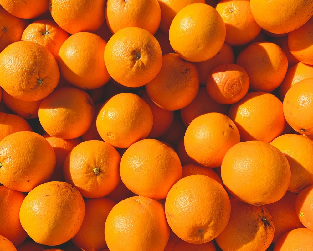 Organic Oranges Valencia