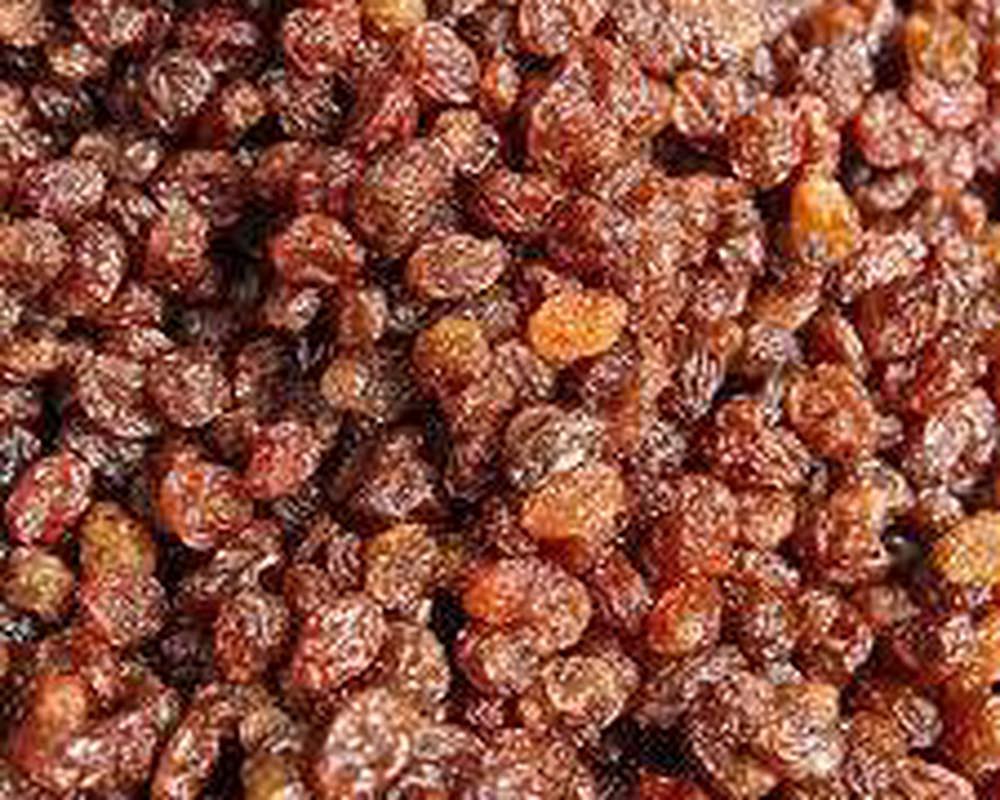 Beaniepack Organic Sultanas