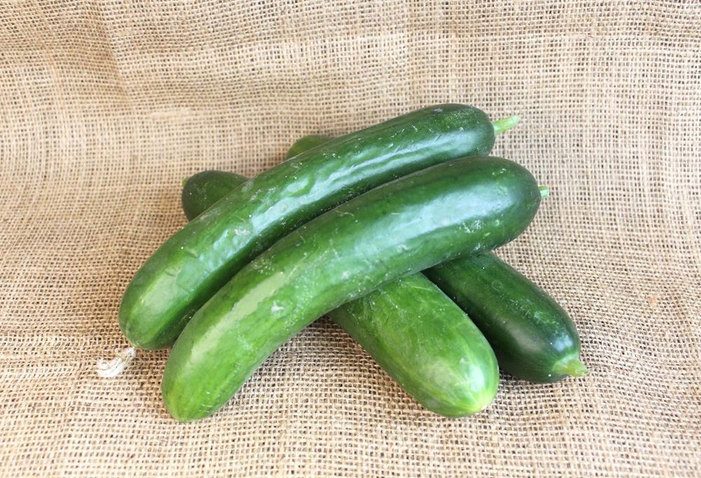 Organic small cucumber from Regather