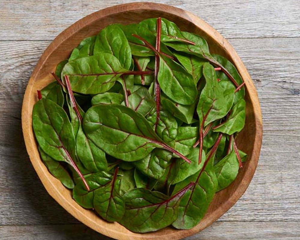 Chard Red Baby Leaf