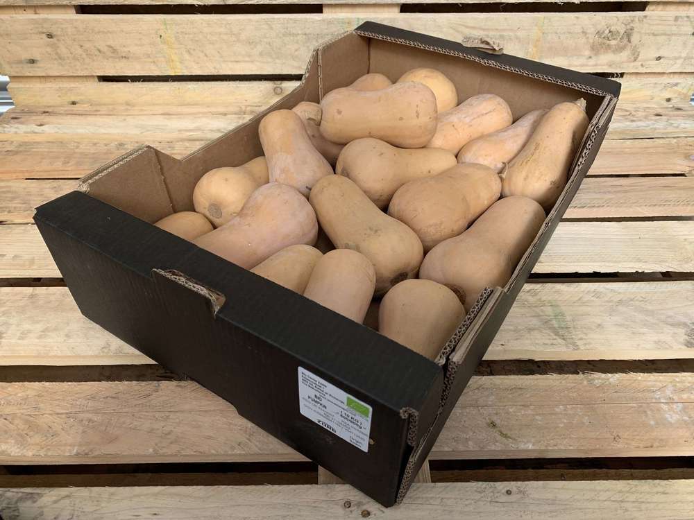 Organic Butternut Squash 10kg