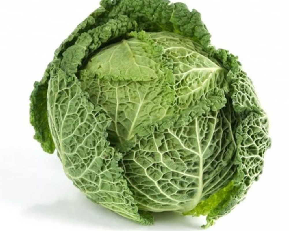 Cabbage Savoy