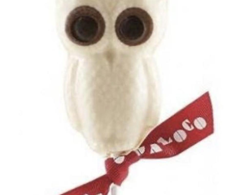 Cocoa Loco -White Chocolate Owl Lolly 26g