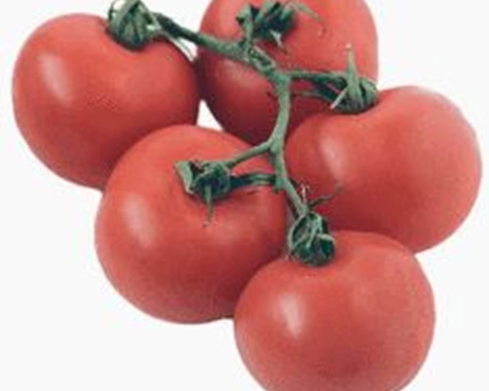 Tomato, Vine (250g) 🇪🇸