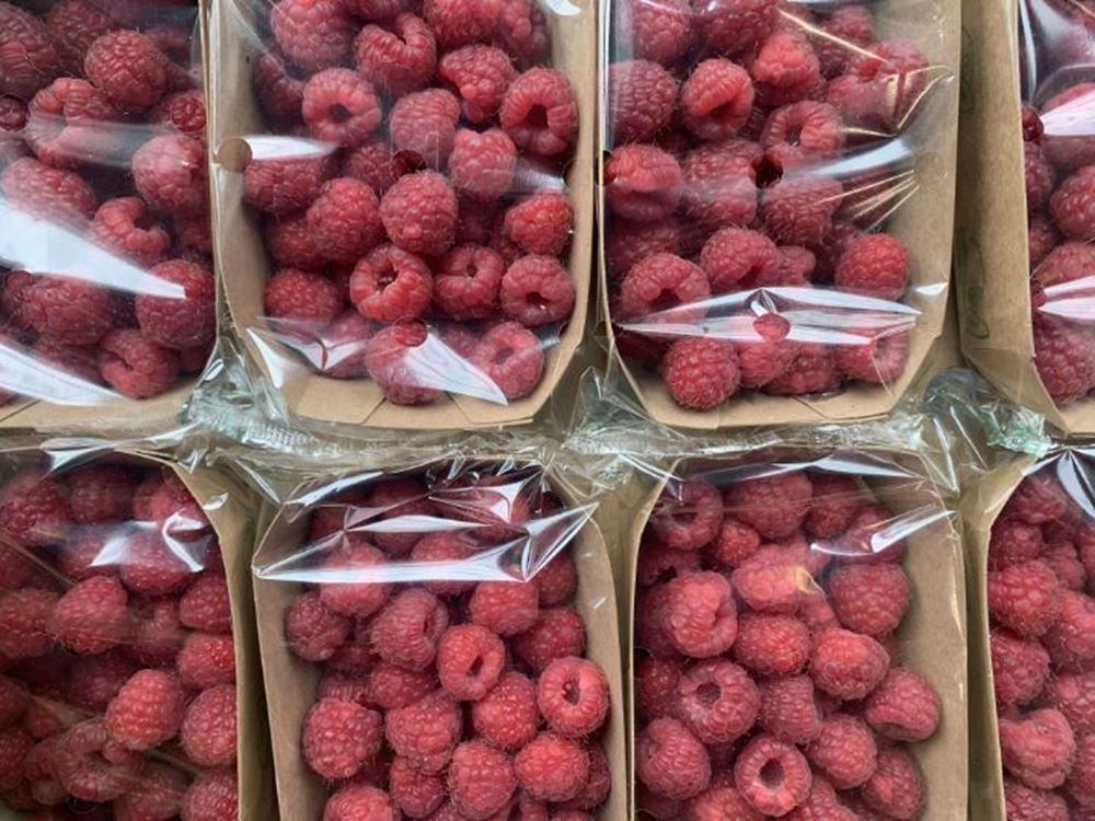Raspberries (125g) (Portugal)