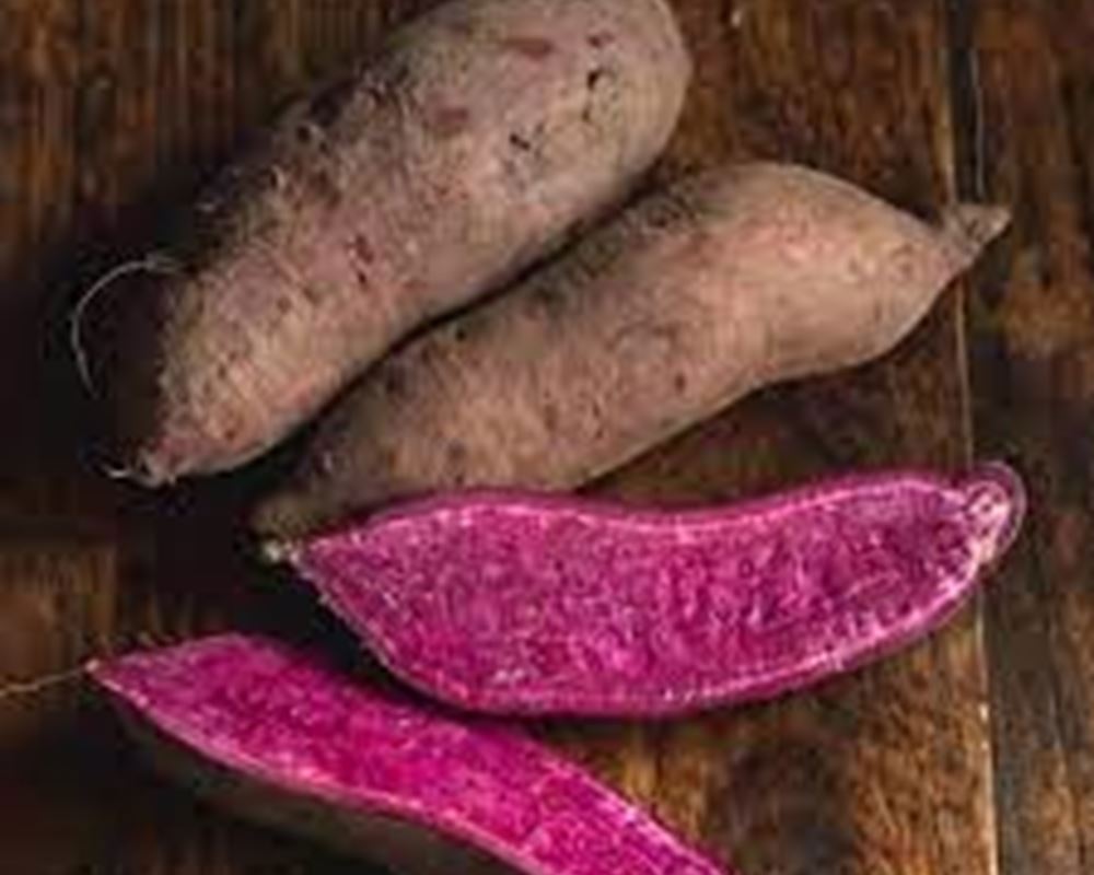 Potatoes Sweet Purple Organic PT