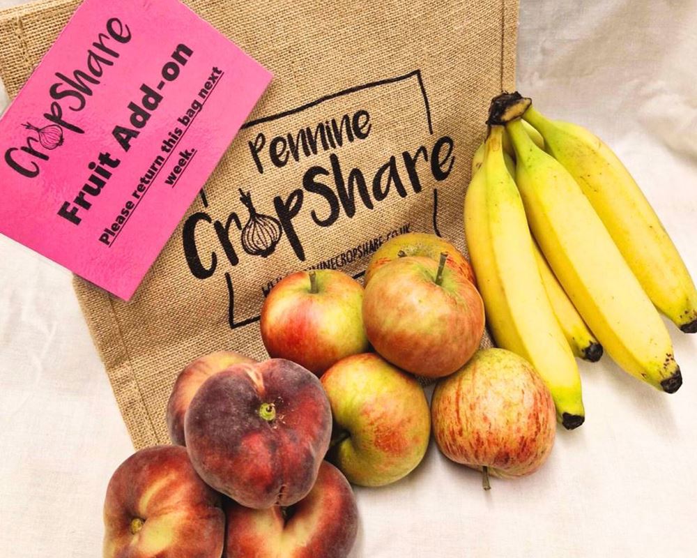 Pennine Cropshare Fruit Bags