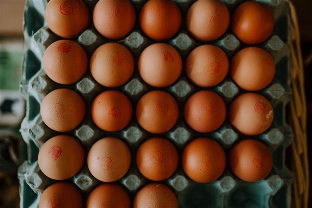 Eggs - Medium/Large (1/2 doz)