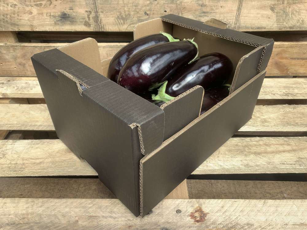 Organic Aubergine