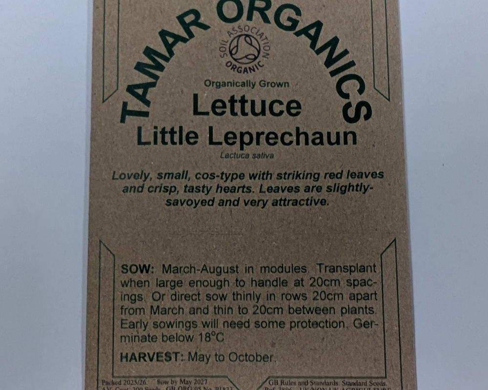 (Seeds) Lettuce - Little Leprechaun