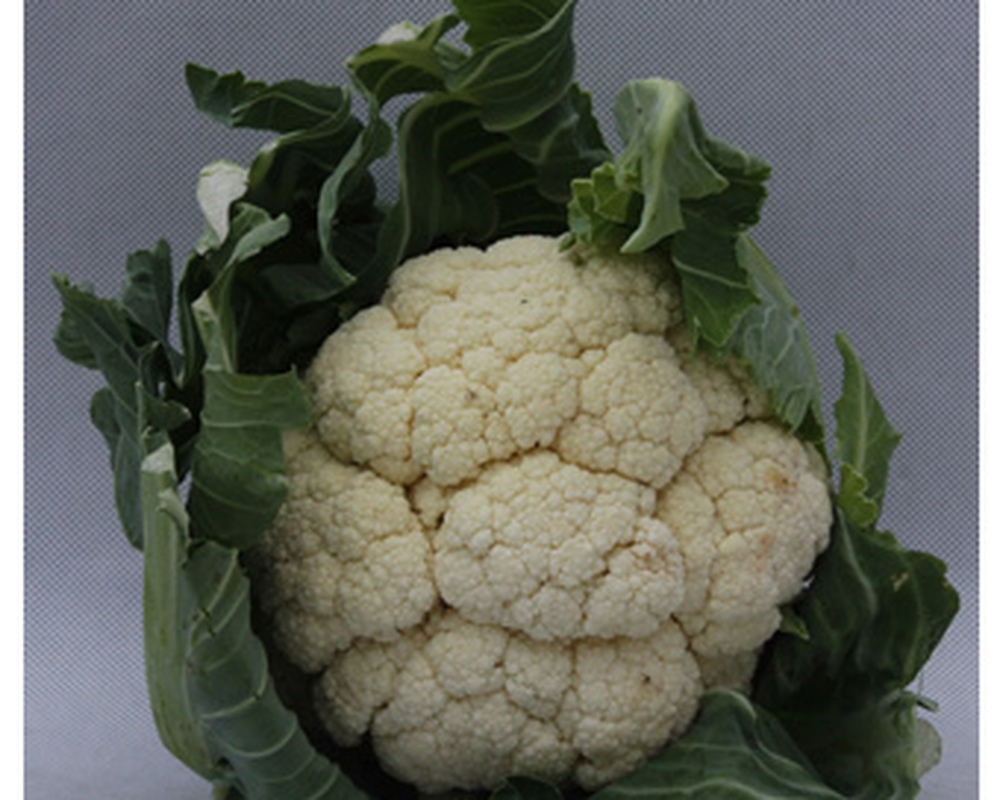 Cauliflower