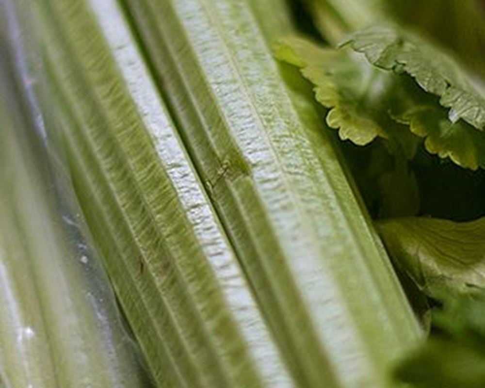 Celery (Organic)