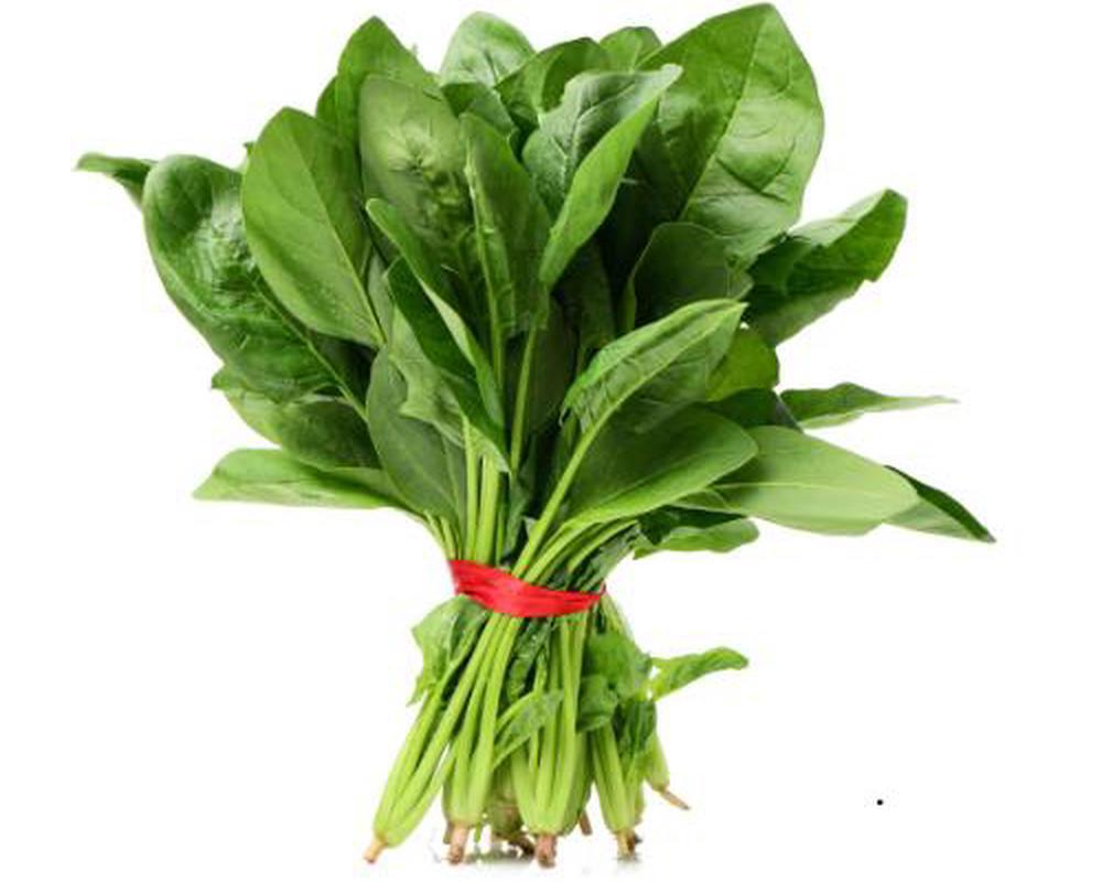 Spinach Perpetual