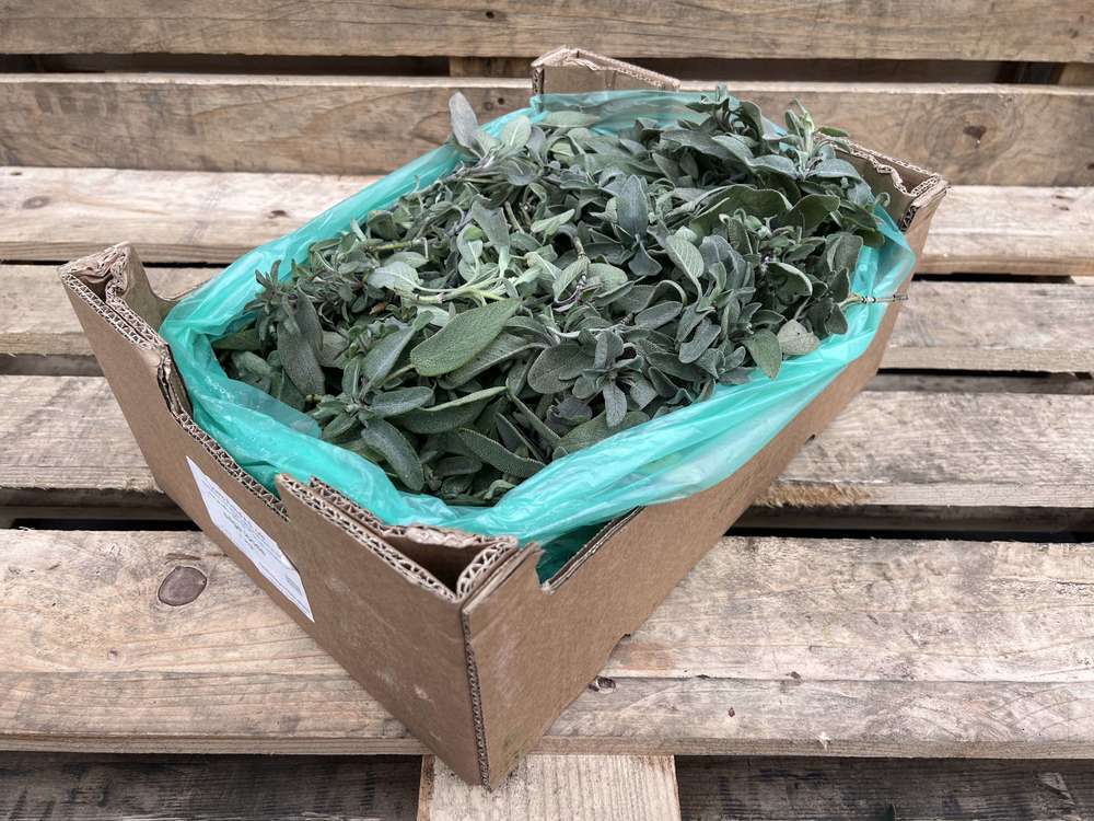 Organic Sage Loose