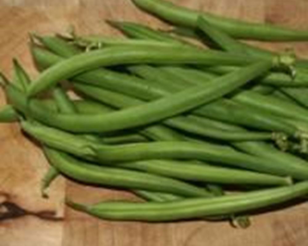Beans - French Organic ES