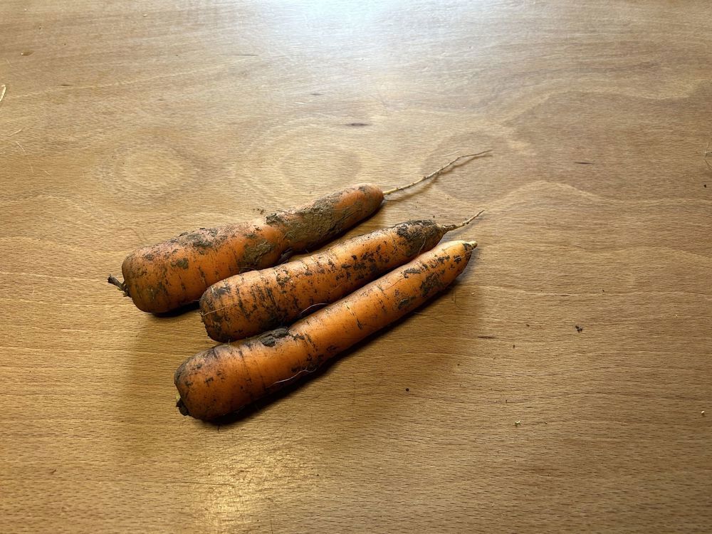 Carrots (500g)
