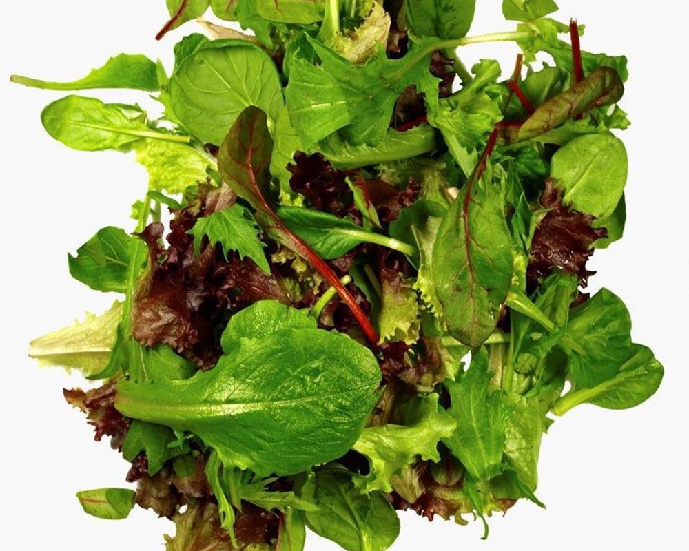 Salad Mixed Leaves 200g