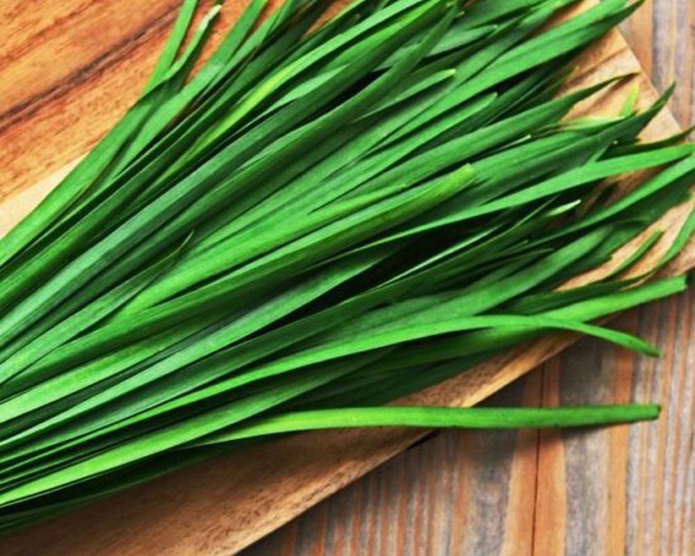 Herbs - Chives Fresh SCOT