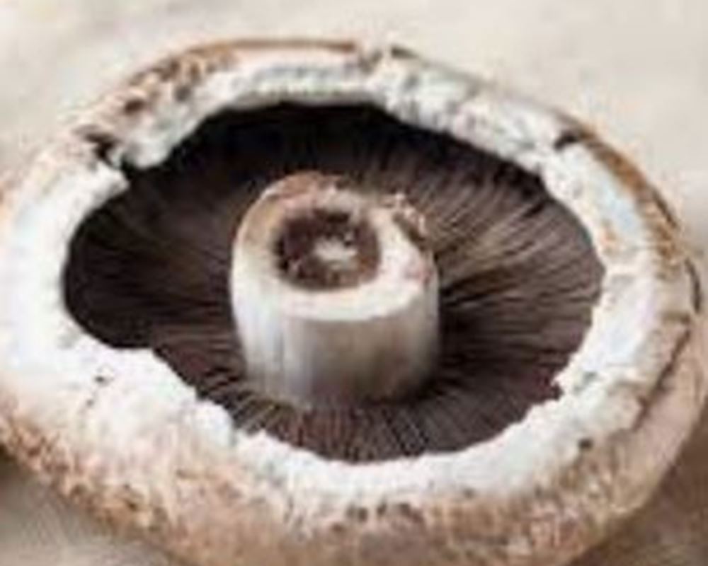 Mushrooms -Portobello (100g) 🇬🇧
